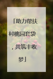 助力帮扶村桃园套袋，共筑丰收梦