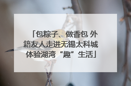 包粽子、做香包 外籍友人走进无锡太科城体验湖湾“趣”生活