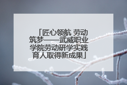 匠心领航 劳动筑梦——武威职业学院劳动研学实践育人取得新成果
