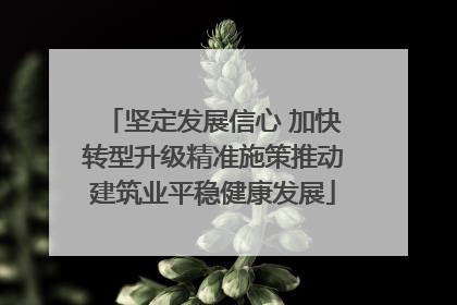 坚定发展信心 加快转型升级精准施策推动建筑业平稳健康发展