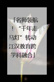 名师领航！“千年走马灯”转动江汉教育跨学科融合