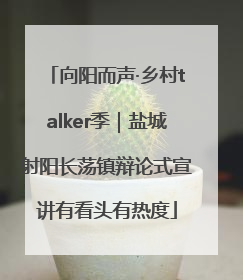 向阳而声·乡村talker季｜盐城射阳长荡镇辩论式宣讲有看头有热度