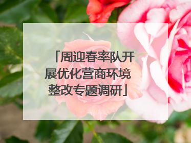 周迎春率队开展优化营商环境整改专题调研
