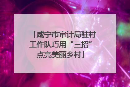 咸宁市审计局驻村工作队巧用“三招”点亮美丽乡村