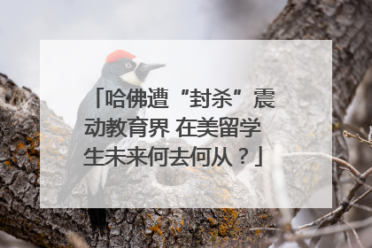 哈佛遭“封杀”震动教育界 在美留学生未来何去何从？