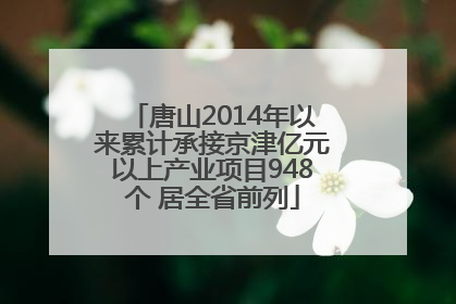 唐山2014年以来累计承接京津亿元以上产业项目948个 居全省前列