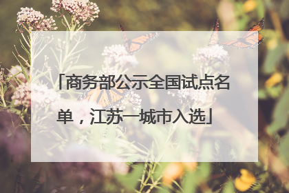 商务部公示全国试点名单，江苏一城市入选