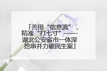 善用“信息流”，精准“打七寸”——湖北公安省市一体深挖串并力破民生案