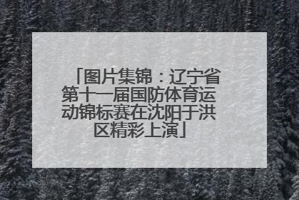图片集锦：辽宁省第十一届国防体育运动锦标赛在沈阳于洪区精彩上演