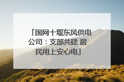 国网十堰东风供电公司：支部共建 居民用上安心电