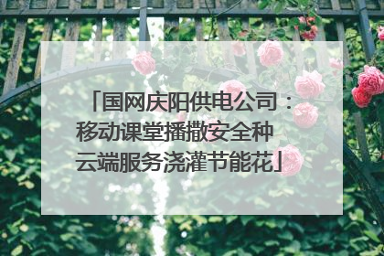 国网庆阳供电公司：移动课堂播撒安全种 云端服务浇灌节能花