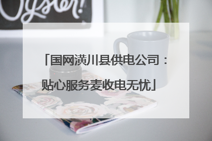 国网潢川县供电公司：贴心服务麦收电无忧