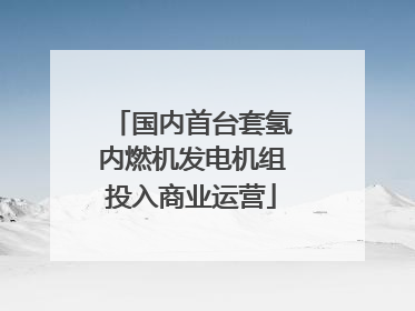 国内首台套氢内燃机发电机组投入商业运营