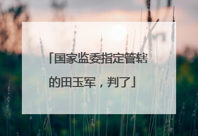 国家监委指定管辖的田玉军，判了