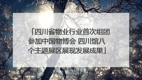 四川省物业行业首次组团参加中国物博会 四川馆八个主题展区展现发展成果