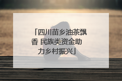 四川苗乡油茶飘香 民族类资金助力乡村振兴