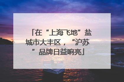 在“上海飞地”盐城市大丰区，“沪苏”品牌日益响亮