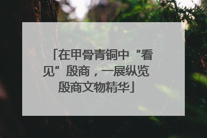 在甲骨青铜中“看见”殷商，一展纵览殷商文物精华