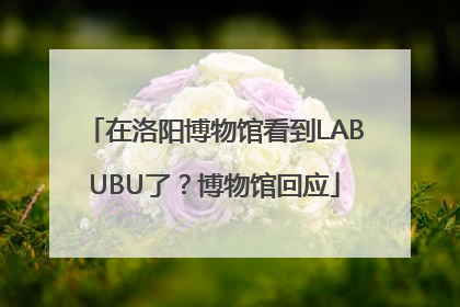 在洛阳博物馆看到LABUBU了？博物馆回应