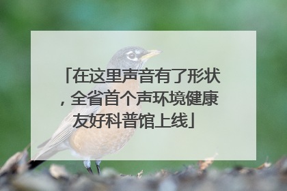 在这里声音有了形状，全省首个声环境健康友好科普馆上线