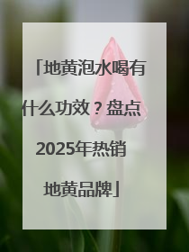 地黄泡水喝有什么功效？盘点2025年热销地黄品牌