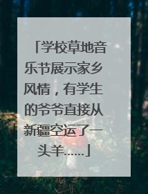 学校草地音乐节展示家乡风情，有学生的爷爷直接从新疆空运了一头羊……