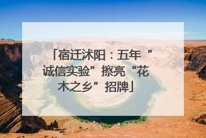 宿迁沭阳：五年“诚信实验”擦亮“花木之乡”招牌