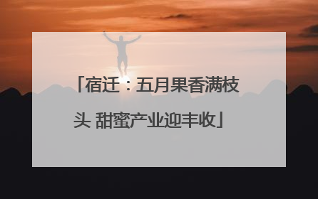 宿迁：五月果香满枝头 甜蜜产业迎丰收