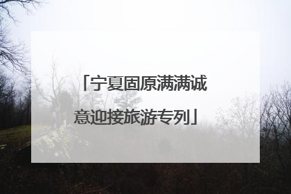 宁夏固原满满诚意迎接旅游专列
