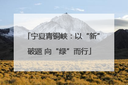 宁夏青铜峡：以“新”破题 向“绿”而行