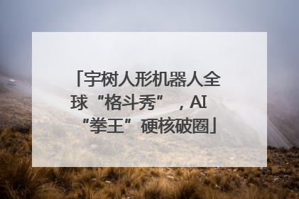宇树人形机器人全球“格斗秀”，AI“拳王”硬核破圈