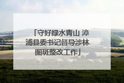 守好绿水青山 漳浦县委书记督导涉林图斑整改工作