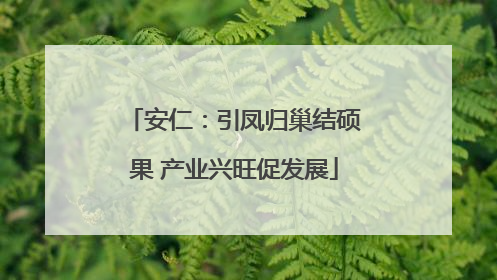 安仁：引凤归巢结硕果 产业兴旺促发展