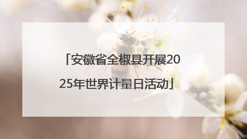 安徽省全椒县开展2025年世界计量日活动