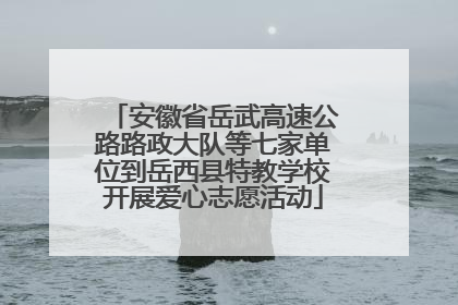 安徽省岳武高速公路路政大队等七家单位到岳西县特教学校开展爱心志愿活动