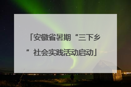 安徽省暑期“三下乡”社会实践活动启动