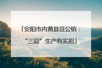 安阳市内黄县豆公镇：“三夏”生产有实招