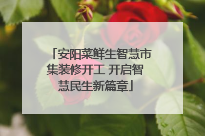 安阳菜鲜生智慧市集装修开工 开启智慧民生新篇章