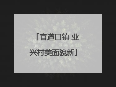 官道口镇 业兴村美面貌新