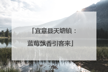 宜章县天塘镇：蓝莓飘香引客来