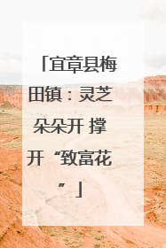宜章县梅田镇：灵芝朵朵开 撑开“致富花”