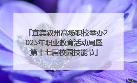 宜宾叙州高场职校举办2025年职业教育活动周暨第十七届校园技能节