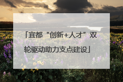 宜都“创新+人才”双轮驱动助力支点建设