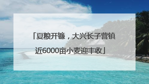 夏粮开镰，大兴长子营镇近6000亩小麦迎丰收