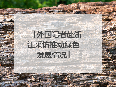 外国记者赴浙江采访推动绿色发展情况