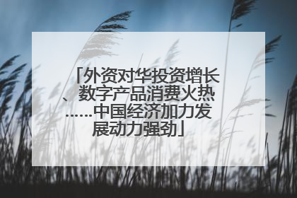 外资对华投资增长、数字产品消费火热……中国经济加力发展动力强劲