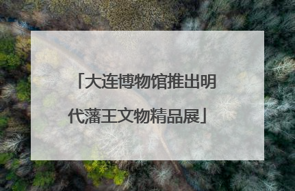 大连博物馆推出明代藩王文物精品展