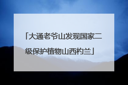 大通老爷山发现国家二级保护植物山西杓兰