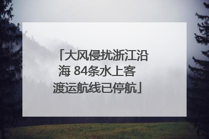大风侵扰浙江沿海 84条水上客渡运航线已停航