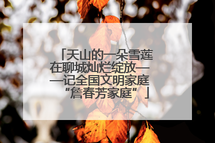 天山的一朵雪莲在聊城灿烂绽放——记全国文明家庭“詹春芳家庭”